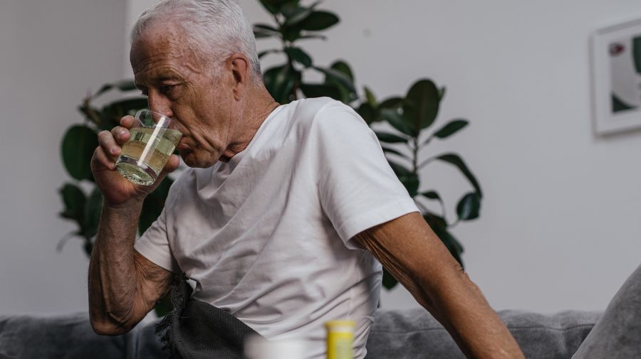 the physiology of mental health